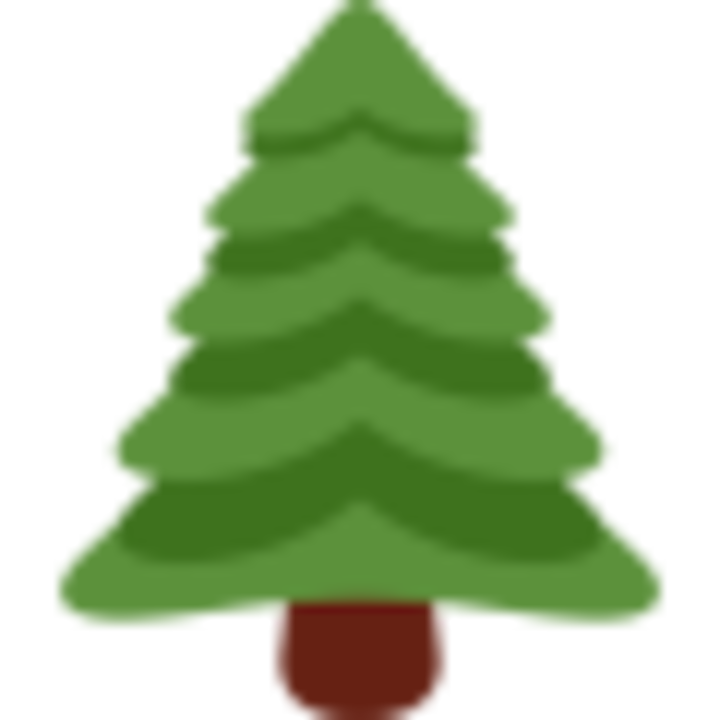 Danbury Tree Removal